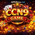 CCN9 Game