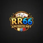 RR66 Game