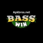 Casswin Casino APK