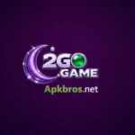 2 Go Game