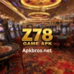 Z78 Game